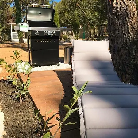 Mobile Ani, * Биоград-на-Мору